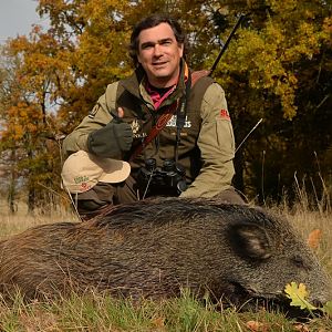 Wild Boar Hunt France