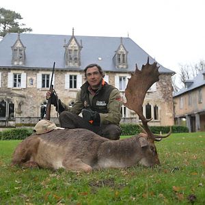 Hunting Fallow Deer France