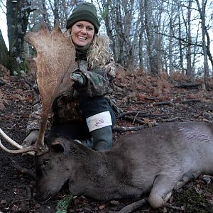 Hunt Fallow Deer France