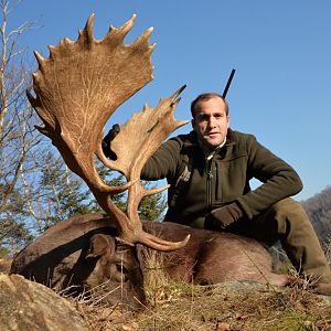 Fallow Deer Hunt France