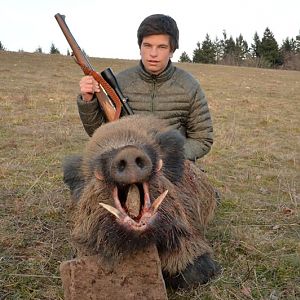 Wild Boar Hunting France