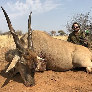 Eland Bow Hunt South Africa