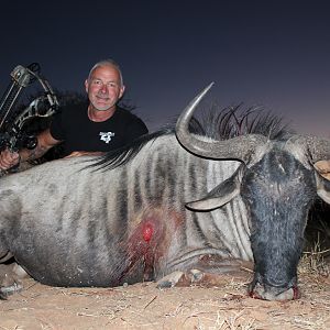 Bow Hunting Blue Wildebeest in South Africa