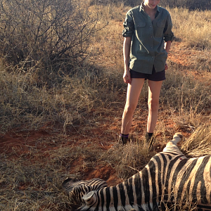 Hunting Burchell's Plain Zebra