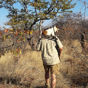 Kudu Hunt South Africa