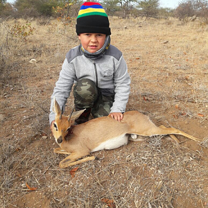 South Africa Hunting Steenbok