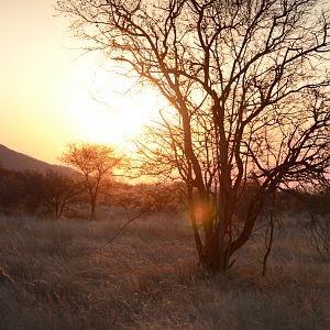 Sunset South Africa