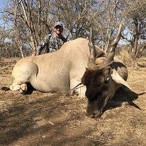 Eland Bow Hunting South Africa