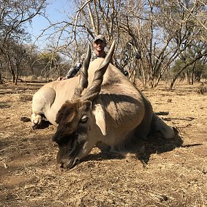 Eland Hunting South Africa