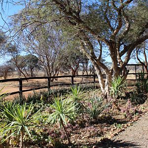 South Africa Hunting Lodge