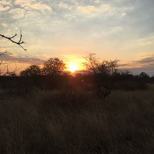 African sunset