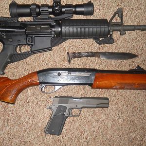 Main home defence firearms