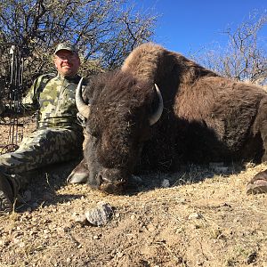 Bison Hunting