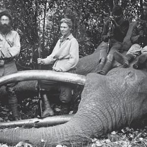 Elephant Hunting