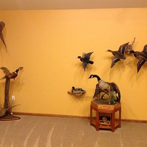 Trophy Room