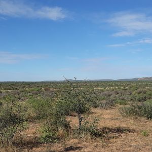 Hunting Namibia