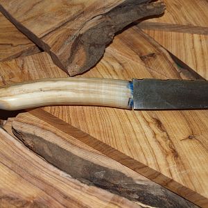 Hippo tooth knife handle