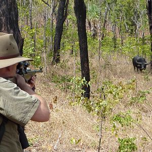 Hunting Asiatic Water Buffalo