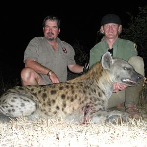 Zimbabwe Hunting Spotted Hyena