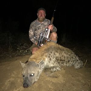 Spotted Hyena Hunt Zimbabwe