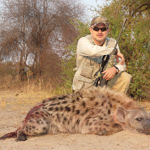 Hunt Spotted Hyena in Zimbabwe