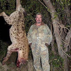 Zimbabwe Hunting Spotted Hyena