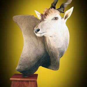 Eland pedestal mount