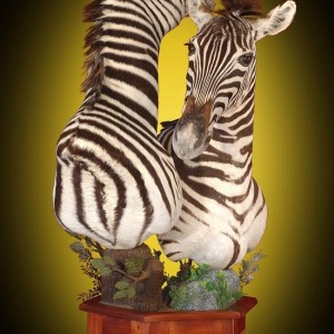 Zebra pedestal mount