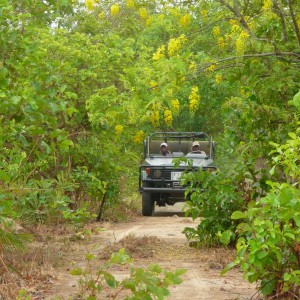 Hunting Central African Republic CAR