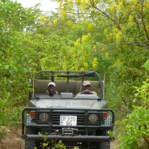 Hunting Central African Republic CAR