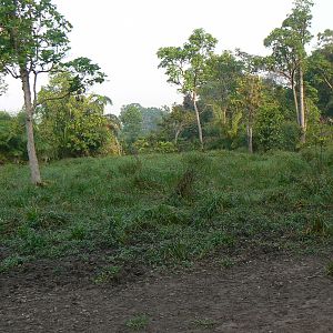 Hunting Central African Republic CAR