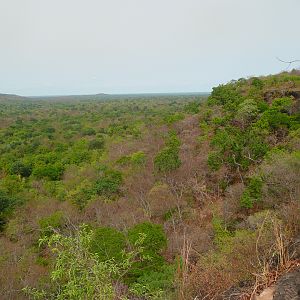 Hunting Central African Republic CAR