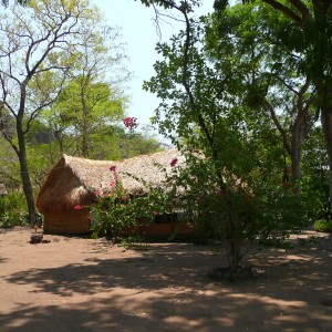 Hunting Camp in CAR