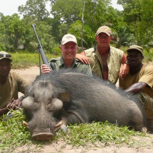 Hunting Giant Forest Hog in Central Africa