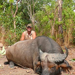 Red Buffalo bull from CAR