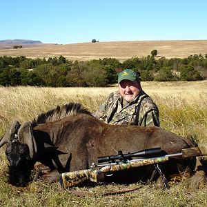 Black Wildebeest 2