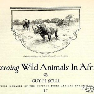 Lassoing Wild Animals in Africa