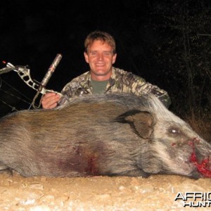 Malcolm Thomson Bowhunting Bushpig