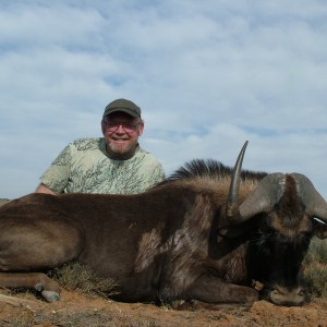 04 Black Wildebeest