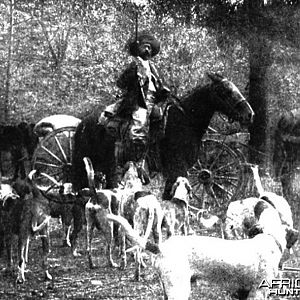 Holt Collier and his prized dogs