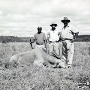 Iqbal Mauladad (BALI) East Africa