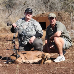 Bowhunting Impala South Africa