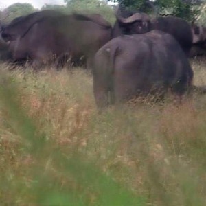 Me and my Buff in Mozambique