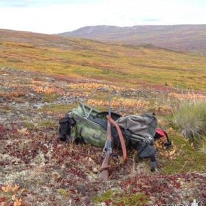 Out on the Kenai peninsula