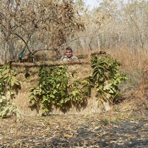 Leopard blind in Central Africa