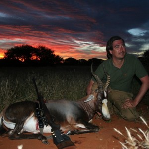 Blesbok