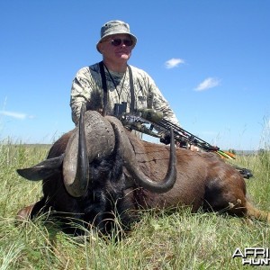 Long stalk... black Wildebeest