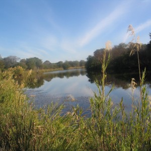 Matetsi river, Zimbabwe, a place where we shot our crocodile