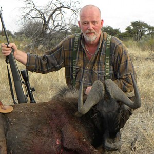 Black Wildebeest Bull - Kataneno