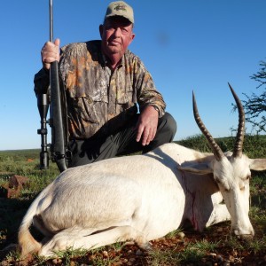 White Blesbok hunted in South Africa